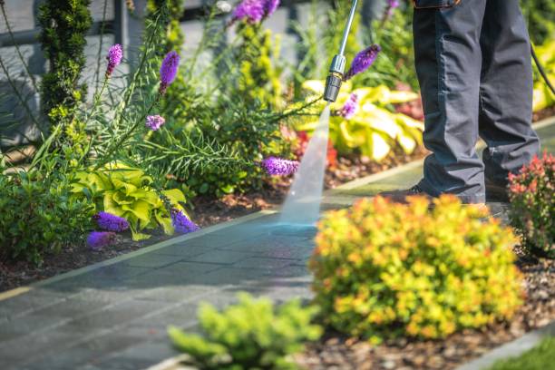 Best Fence Cleaning  in Converse, TX
